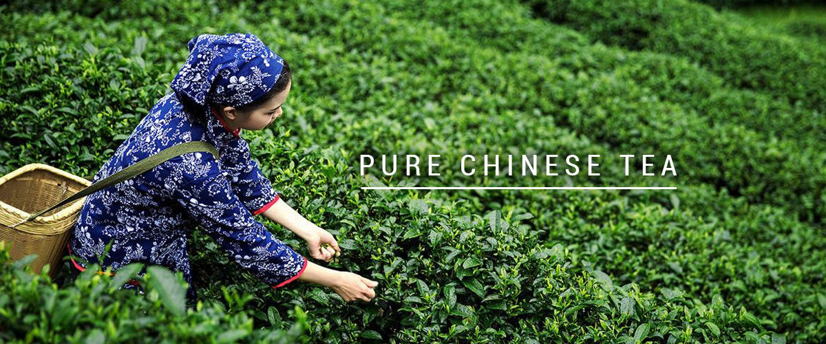 จีน ดีที่สุด ชาอูหลงอินทรีย์ เกี่ยวกับการขาย